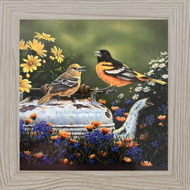 Orioles In The Garden by Kim Norlien KN48