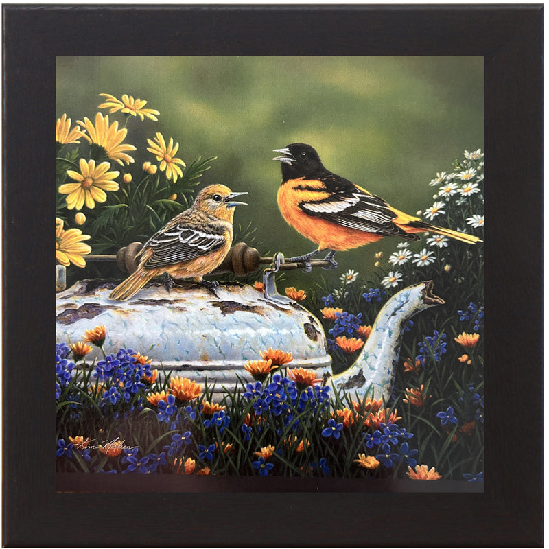 Orioles In The Garden by Kim Norlien KN48