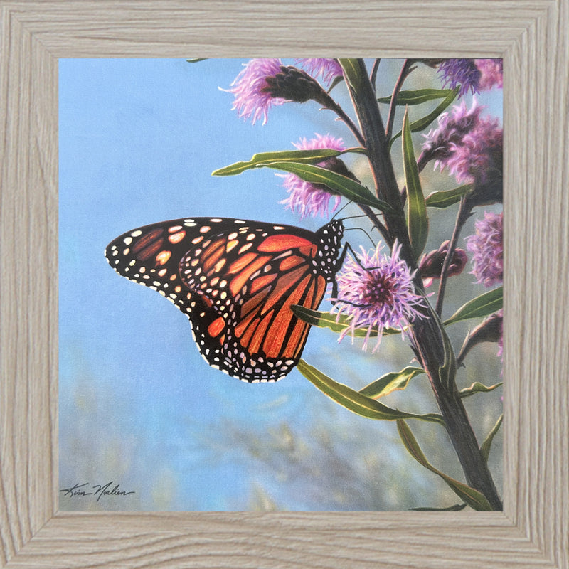 The Monarch's Garden by Kim Norlien KN50