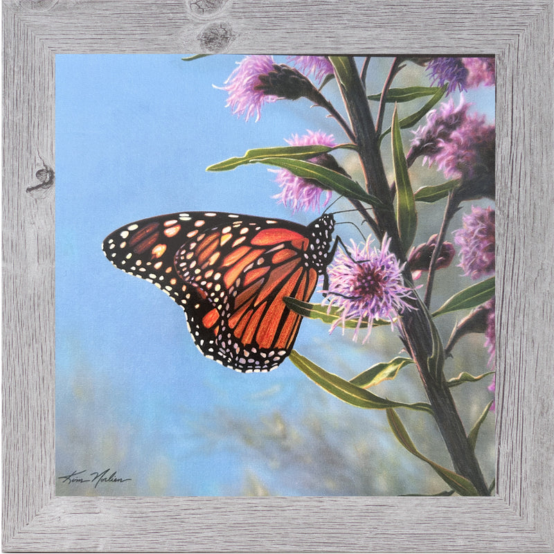 The Monarch's Garden by Kim Norlien KN50