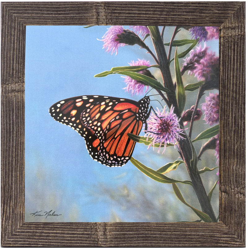 The Monarch's Garden by Kim Norlien KN50