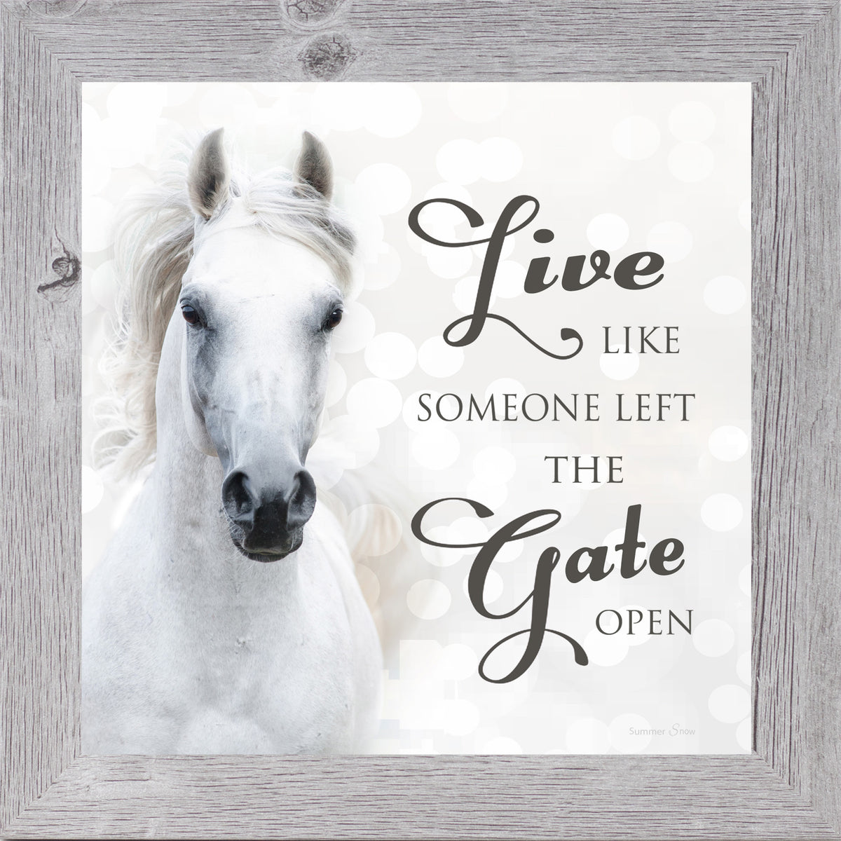 Rustic wall art – Live Like Someone Left the Gate Open quote with horse

