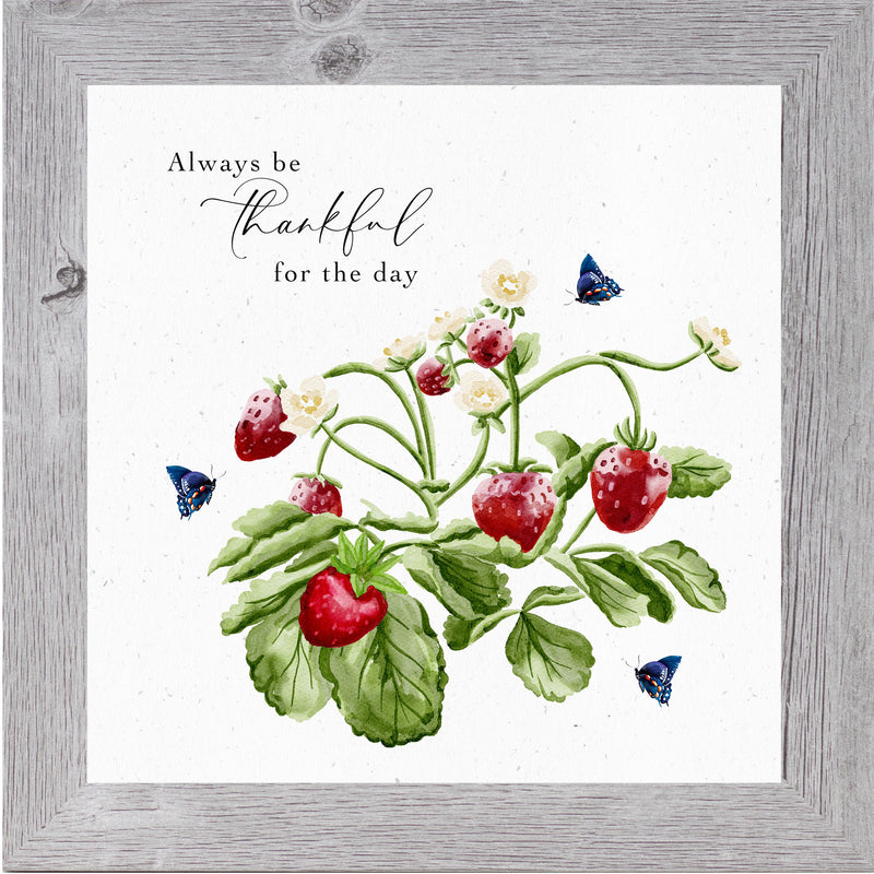 Always Be Thankful by Summer Snow NS20