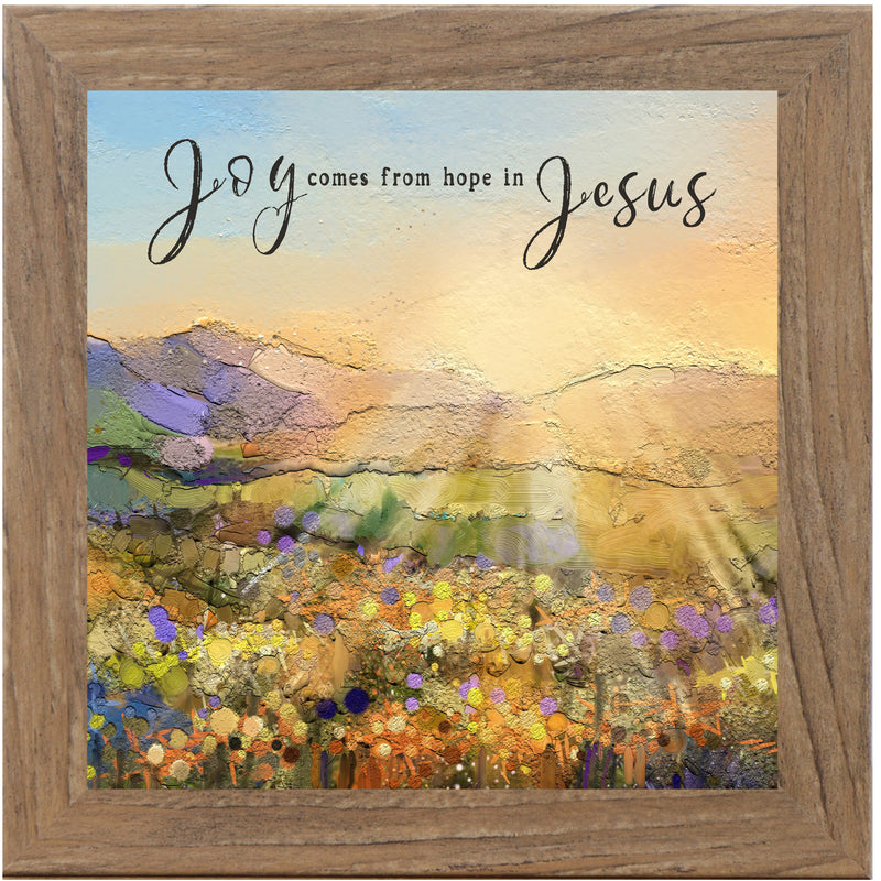 Joy Comes From Hope In Jesus by Summer Snow NS37
