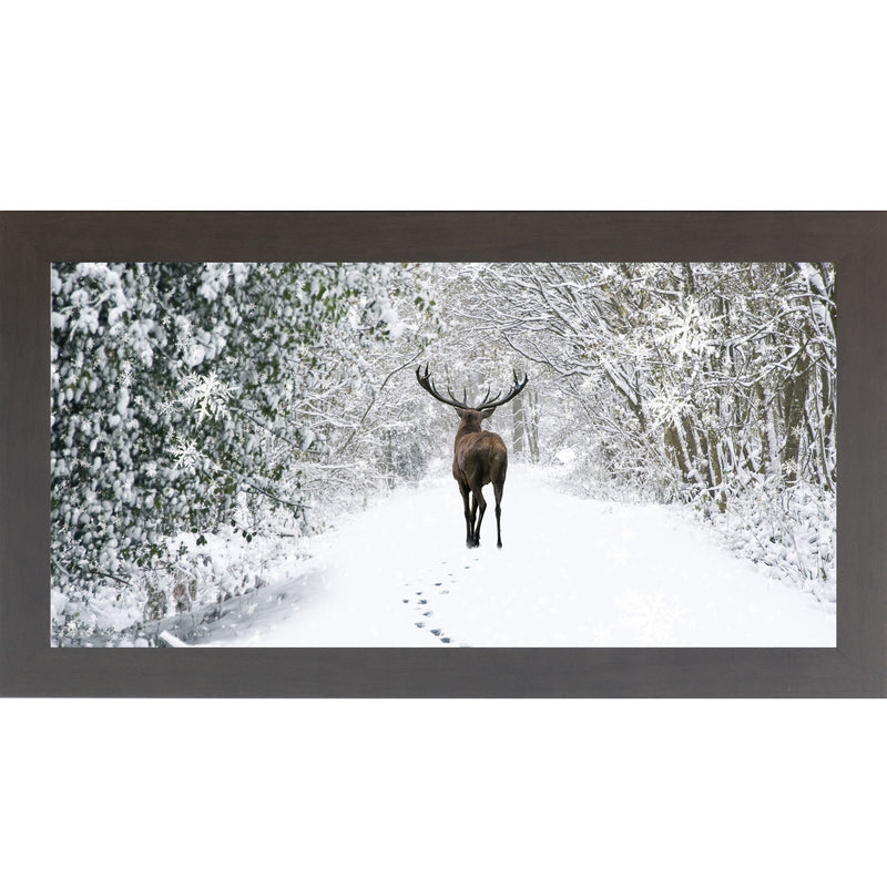 Tracks in the Snow by Summer Snow SA426