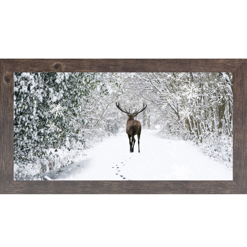 Tracks in the Snow by Summer Snow SA426