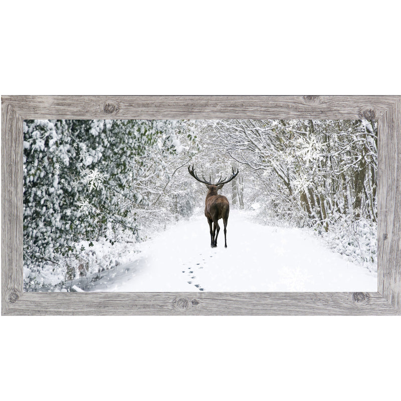 Tracks in the Snow by Summer Snow SA426