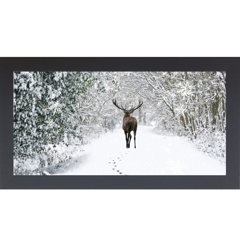 Tracks in the Snow by Summer Snow SA426