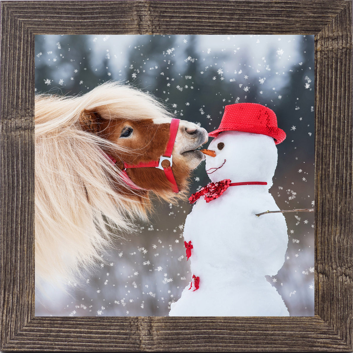 Pony eating carrot from snowman – Winter framed wall art