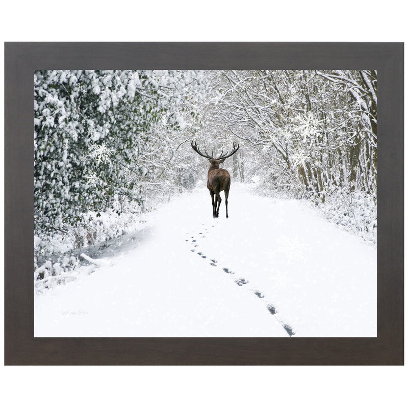 Tracks in the Snow by Summer Snow SA426