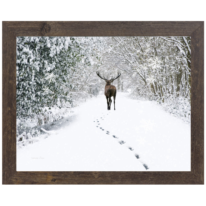 Tracks in the Snow by Summer Snow SA426