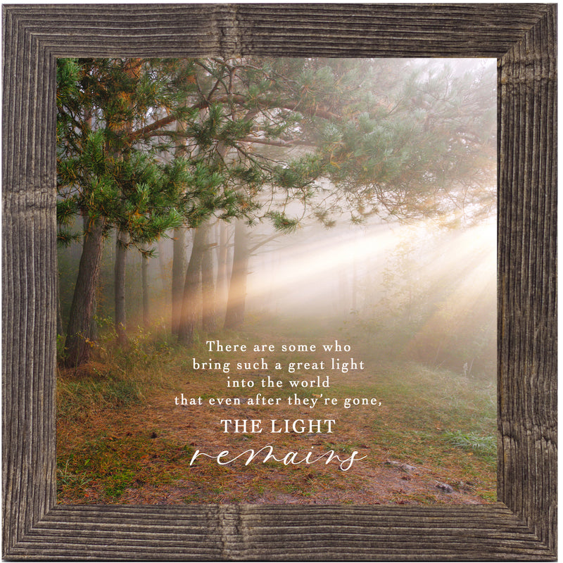 The Light Remains by Summer Snow SN124