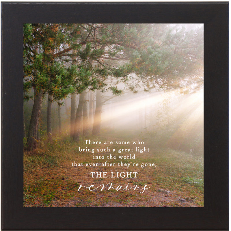 The Light Remains by Summer Snow SN124