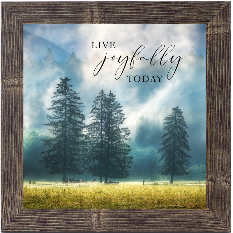 Live Joyfully Today by Summer Snow SN125