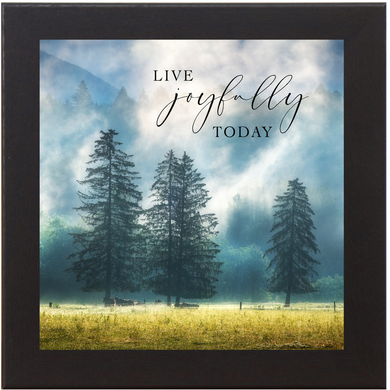 Live Joyfully Today by Summer Snow SN125