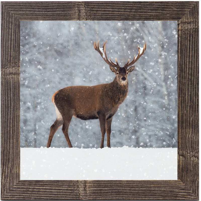 Proud Buck by Summer Snow SN180