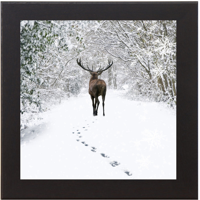 Tracks in the Snow by Summer Snow SN181