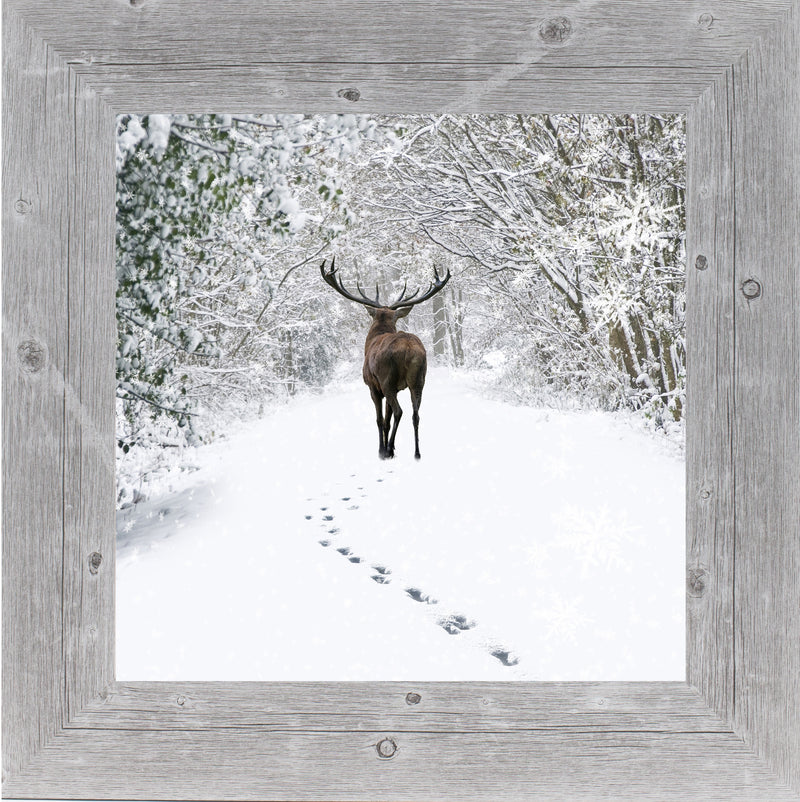 Tracks in the Snow by Summer Snow SN181