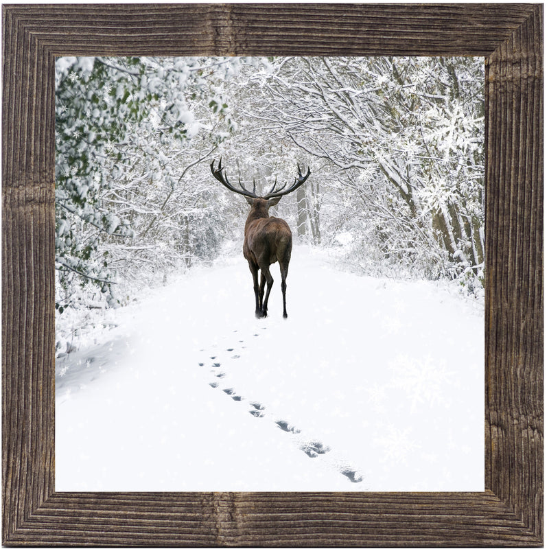 Tracks in the Snow by Summer Snow SN181