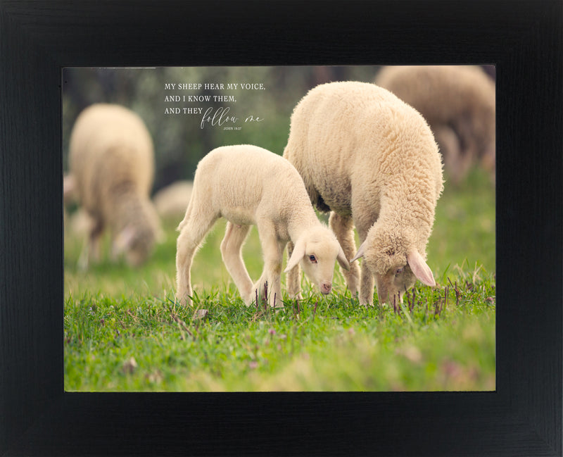 My Sheep Hear My Voice by Summer Snow SN70