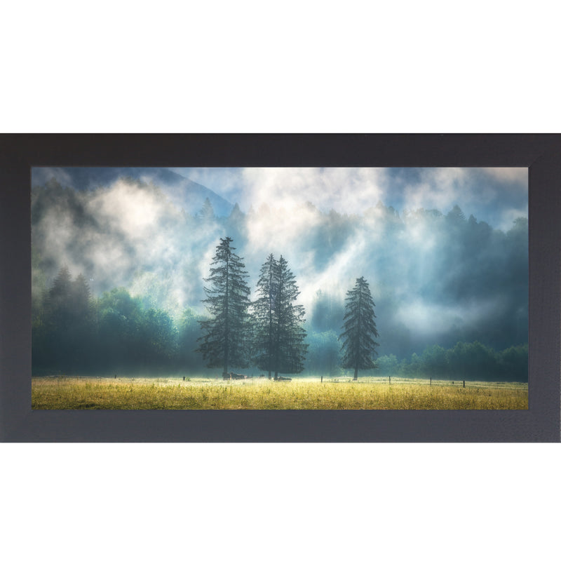 Misty Morning by Summer Snow SN728