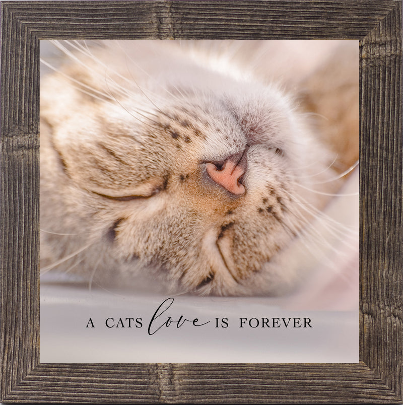 A Cats Love is Forever by Summer Snow SN72