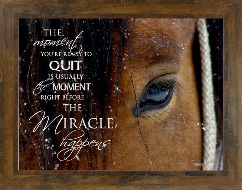 The Moment You're Ready to Quit horse eye SSW9812 - Summer Snow Art
