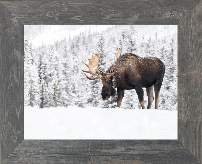 Winter Moose by Summer Snow SA411
