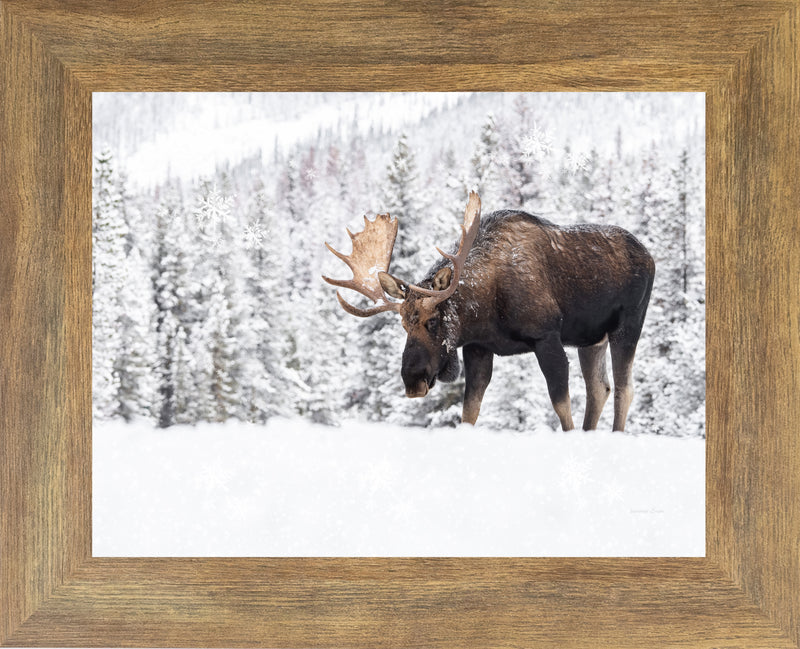 Winter Moose by Summer Snow SA411