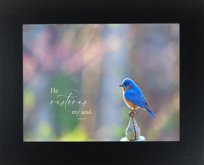 He Restores My Soul by Summer Snow SN320