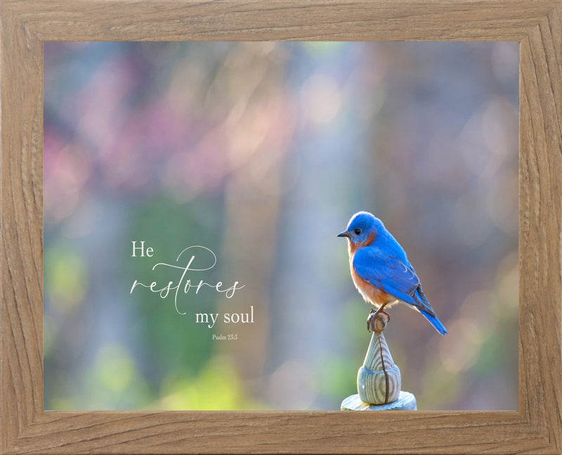 He Restores My Soul by Summer Snow SN320