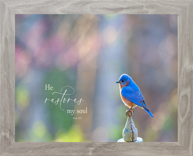 He Restores My Soul by Summer Snow SN320