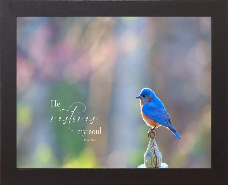 He Restores My Soul by Summer Snow SN320