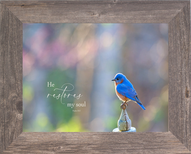 He Restores My Soul by Summer Snow SN320