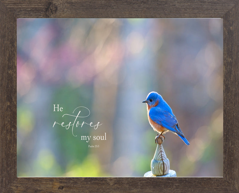 He Restores My Soul by Summer Snow SN320