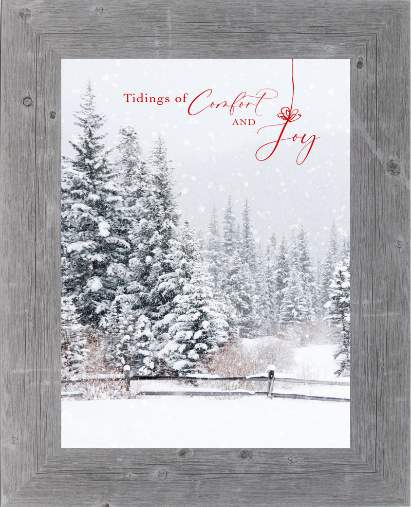 Tidings of Comfort and Joy vertical by Summer Snow SN337