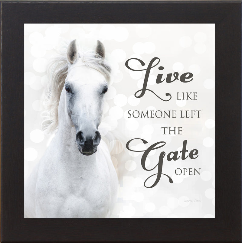 Live Like Someone Left the Gate Open by Summer Snow SS838